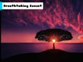 Spil Betagende solnedgang  online