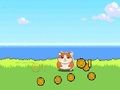 Spil Hamster Kombat Clicker online