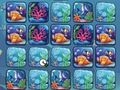 Spil Reef Color Challenge online
