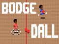 Spil Bodge Dall online