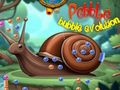 Spil Pebble Bubble Evolution online