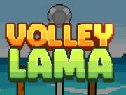 Spil Volley Lama online