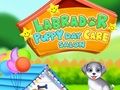 Spil Labrador hvalpedagplejesalon  online