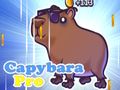 Spil Capybara Pro online
