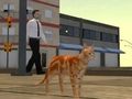 Spil Cat City Simulator online