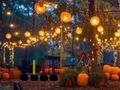 Spil Halloween dejlig haveflugt  online