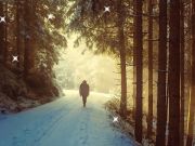 Spil Vinter skjulte stjerner  online