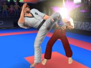 Spil Karate Fighter online Spil Karate Fighter online