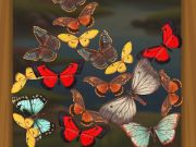 Spil Flet Butterfly  online