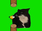Spil Flappy Bird Spinding Oia Oia Cat  online