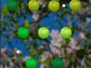 Spil Juicy Apple online
