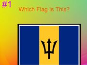 Spil 30S Hard Flag Quiz  online