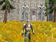 Spil Aks af de gamle Dwarven Fury  online