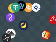 Spil Crypto Detective Finder  online