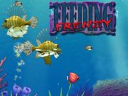 Spil Fodring af vanvid online Spil Fodring af vanvid online