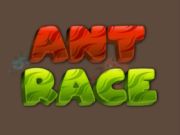 Spil Ant Race online Spil Ant Race online