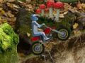 Spil Ekstrem mountainbiking  online