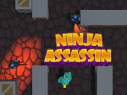 Spil Ninja Assassin online