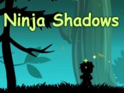 Spil Ninja Shadows online