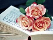 Spil Book of Blooms Jigsaw online