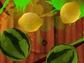Spil Fruit Break online