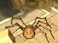 Spil Spider Simulator: Amazing City online