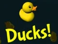 Spil Ducks! online