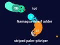 Spil Curvz.io online