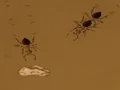 Spil Save the crumb online