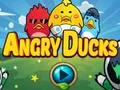 Spil Angry Ducks online