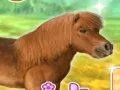 Spil My Dear Pony online