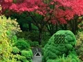 Spil Maple Leaf Garden Escape online