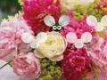 Spil Pretty Blossom Wallpaper Escape online