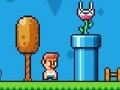 Spil Ninja Plumber online