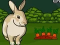 Spil Rescue The Grey Rabbit online