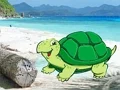 Spil Beach Crab Pair Escape online