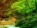 Spil Peaceful Rainbow Forest Escape online