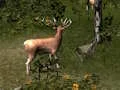 Spil Sniper Hunting Deadly Animal online