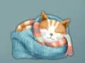 Spil Adorable Escape Find Cute Kitten online