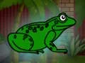 Spil Rescue The Green Toad From Underground online