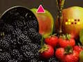 Spil Help The Ant Pair online