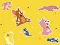Spil The Tom and Jerry Show Find it! online