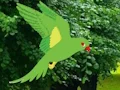 Spil Parrot Find The Nest online
