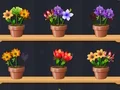 Spil Good Flower Master online