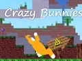 Spil Crazy Bunnies online