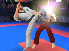 Spil Karate Fighter online