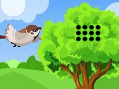 Spil Sparrow Meets Crow Buddies online