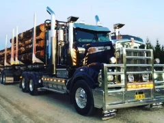 Spil American City Truck Transporting online