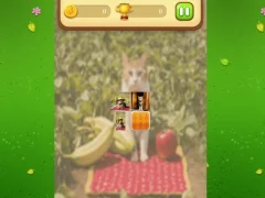 Spil Farm Cat Memory Match online