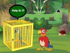 Spil Release Trapped Macaw Buddy online